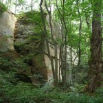 Im Naturschutzgebiet Köpfertal