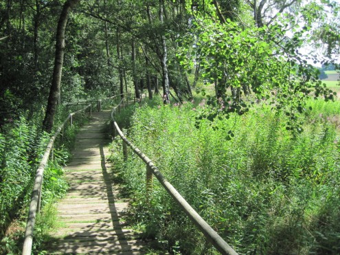 Schwellenweg durch das Naturschutzgebiet Schopflocher Moor