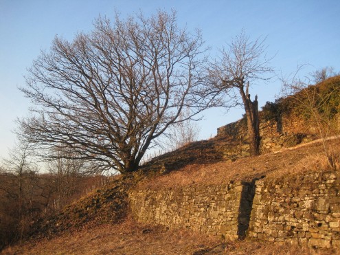 Abendstimmung im Grundbesitz Enztalblick bei Mühlacker-Mühlhausen