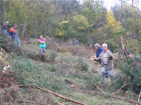 Landschaftspflegemaßnahme beim Schwäbischen Albverein
