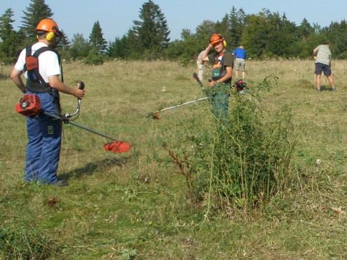 Landschaftspflegetrupp des Schwäbischen Albvereins