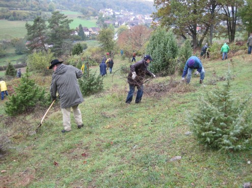 Bei der Landschaftspflege