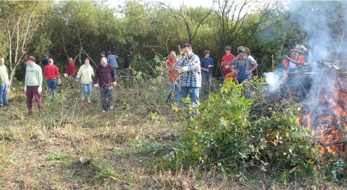 Bei Landschaftspflegemaßnahmen können Mitarbeiter des Bundesfreiwilligendienstes eingesetzt werden