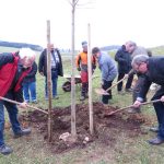 Pflanzen der Breuningerlinde, Foto: M. Rau